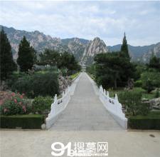 陵园风景图-15
