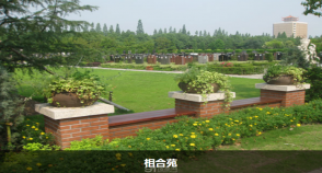 陵园风景图-7